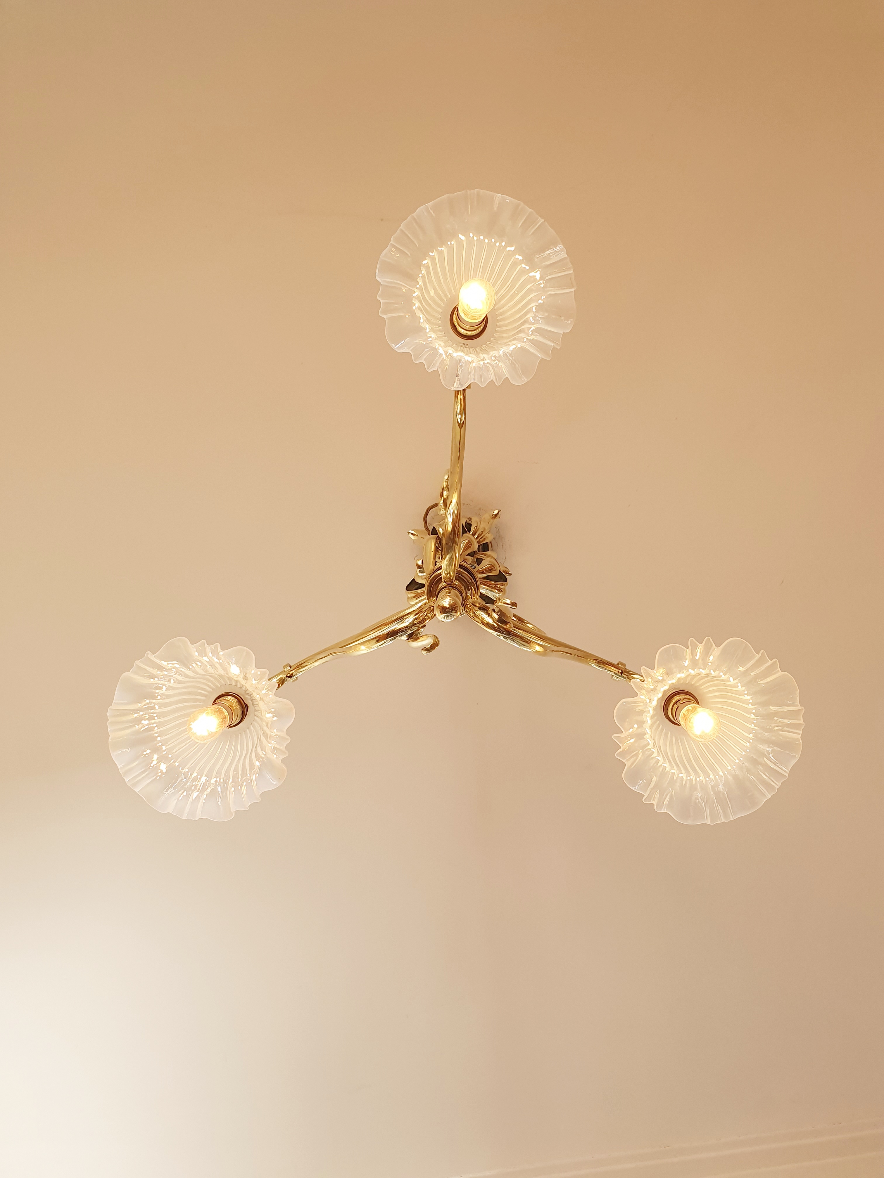 Best & Lloyd, Birmingham | Art Nouveau 3-Branch Ceiling Light | England c.1900 | SOLD - Image 5